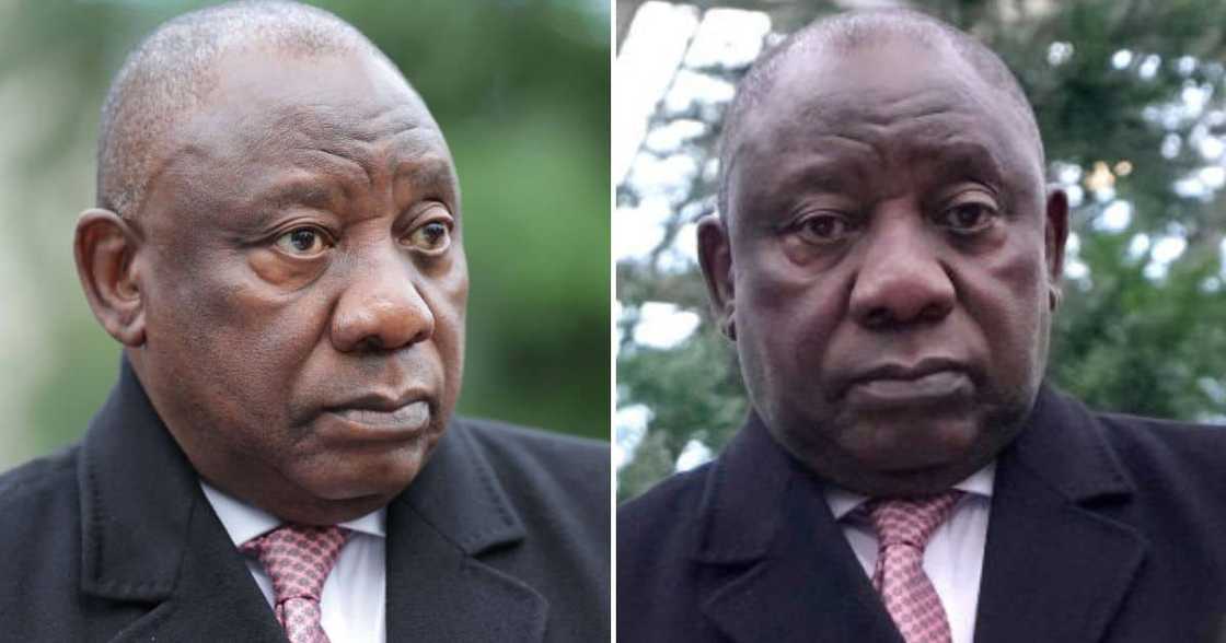 Cyril Ramaphosa postpones family meeting because of Phala Phala report Cyril Ramaphosa postpones family meeting because of Phala Phala report