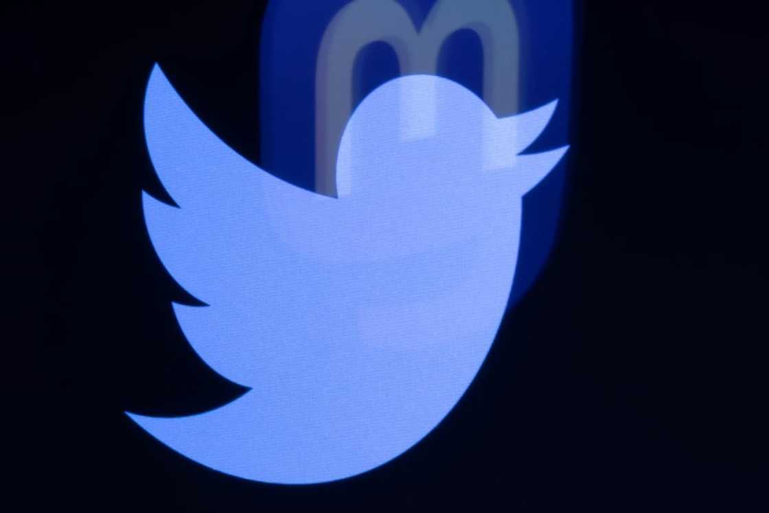 The logos of social networks Twitter and Mastodon are seen reflected in smartphone screens The logos of social networks Twitter and Mastodon are seen reflected in smartphone screens