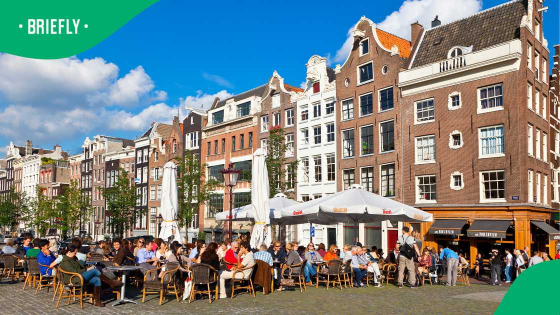 Netherlands raises salary bar for skilled workers in 2026: What this means for South Africans