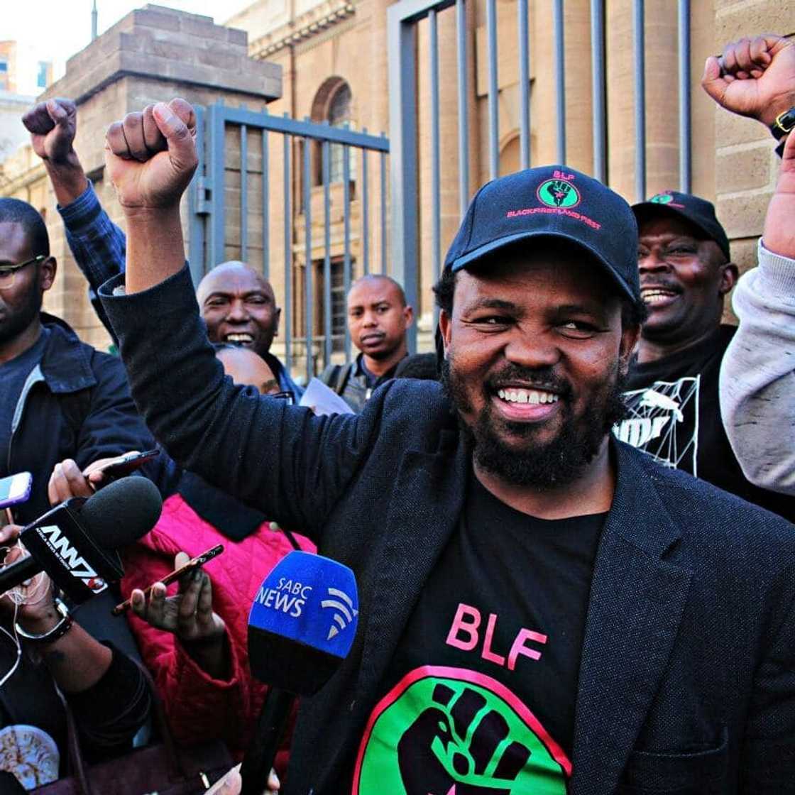 Andile Mngxitama biography: age, wife, education, BLF, Twitter and net worth