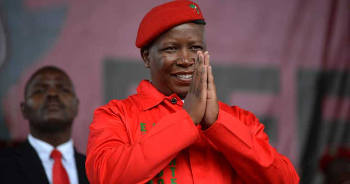 EFF, Elections, local government, fact check, municipal elections EFF, Elections, local government, fact check, municipal elections