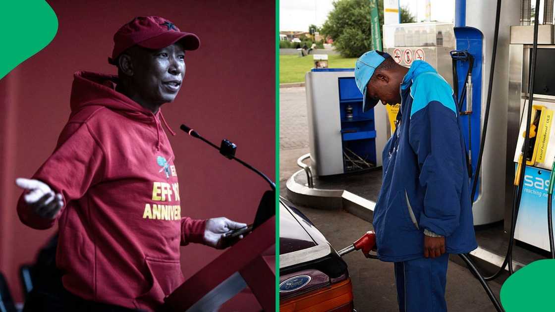 EFF president Julius Malema said the job of a petrol attendee is a slave's job EFF president Julius Malema said the job of a petrol attendee is a slave's job