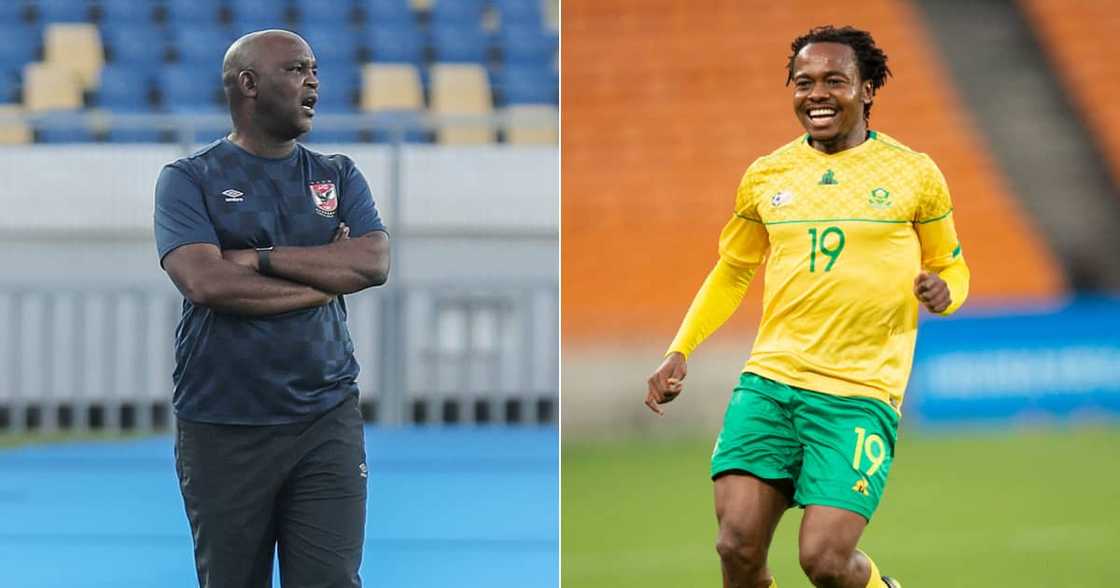Pitso Mosimane, Percy Tau, Al Ahly, Brighton & Hove Albion, transfer Pitso Mosimane, Percy Tau, Al Ahly, Brighton & Hove Albion, transfer