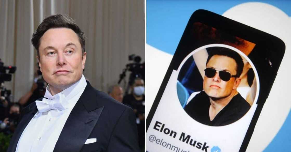 Elon Musk, Twitter