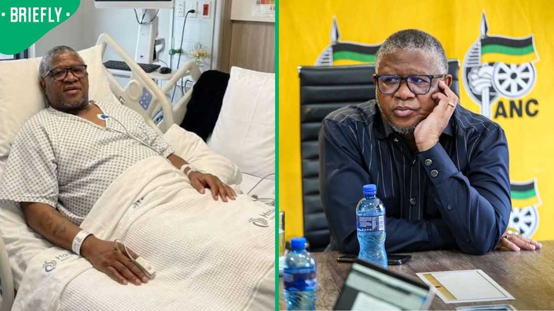 Fikile Mbalula rejected a claim that he had been hospitalised Fikile Mbalula rejected a claim that he had been hospitalised