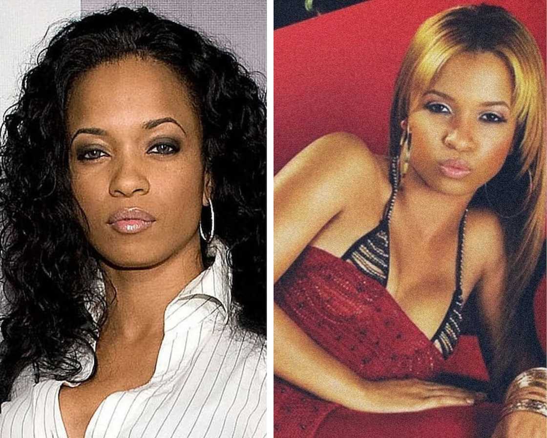 Karrine Steffans educational background Karrine Steffans educational background