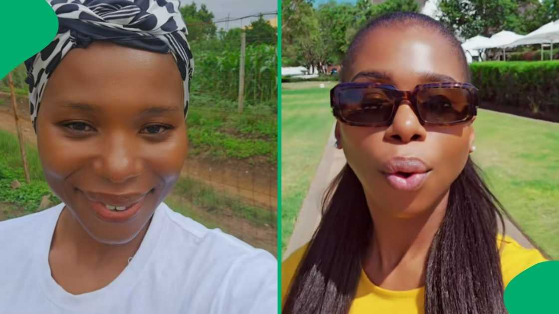 A woman's video of her family dispute regarding late gogo's home went viral. A woman's video of her family dispute regarding late gogo's home went viral.