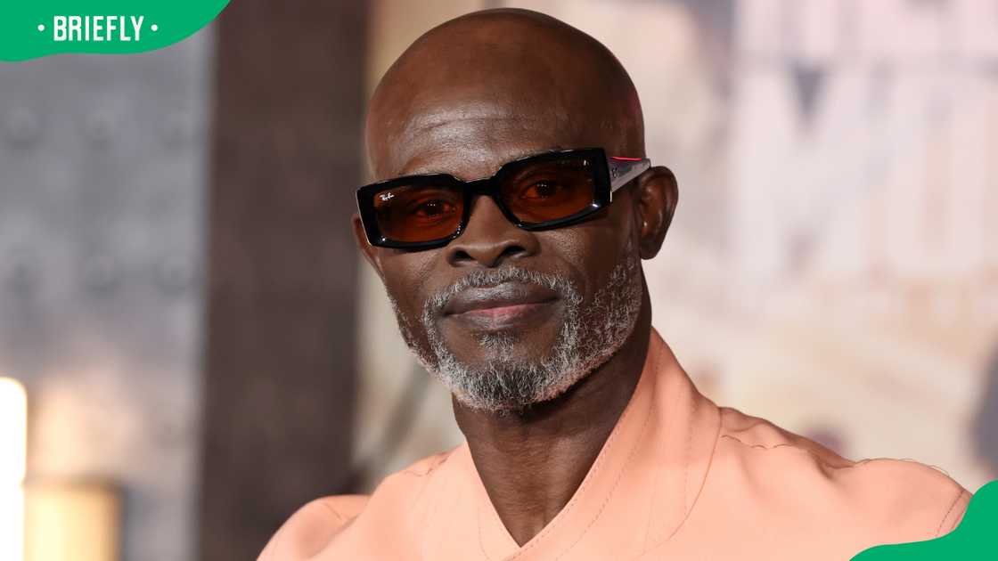 Djimon Hounsou in Hollywood Djimon Hounsou in Hollywood
