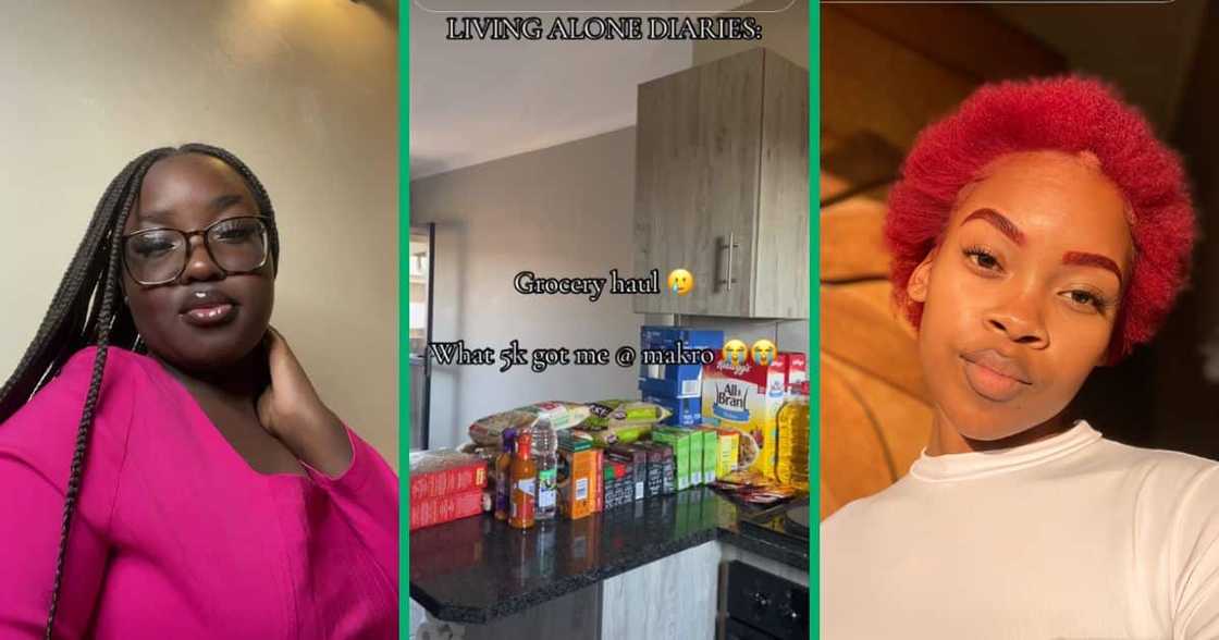 students share grocery hauls students share grocery hauls