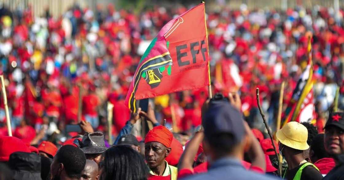 EFF, rally, votes, 1 out of 502, party funding EFF, rally, votes, 1 out of 502, party funding