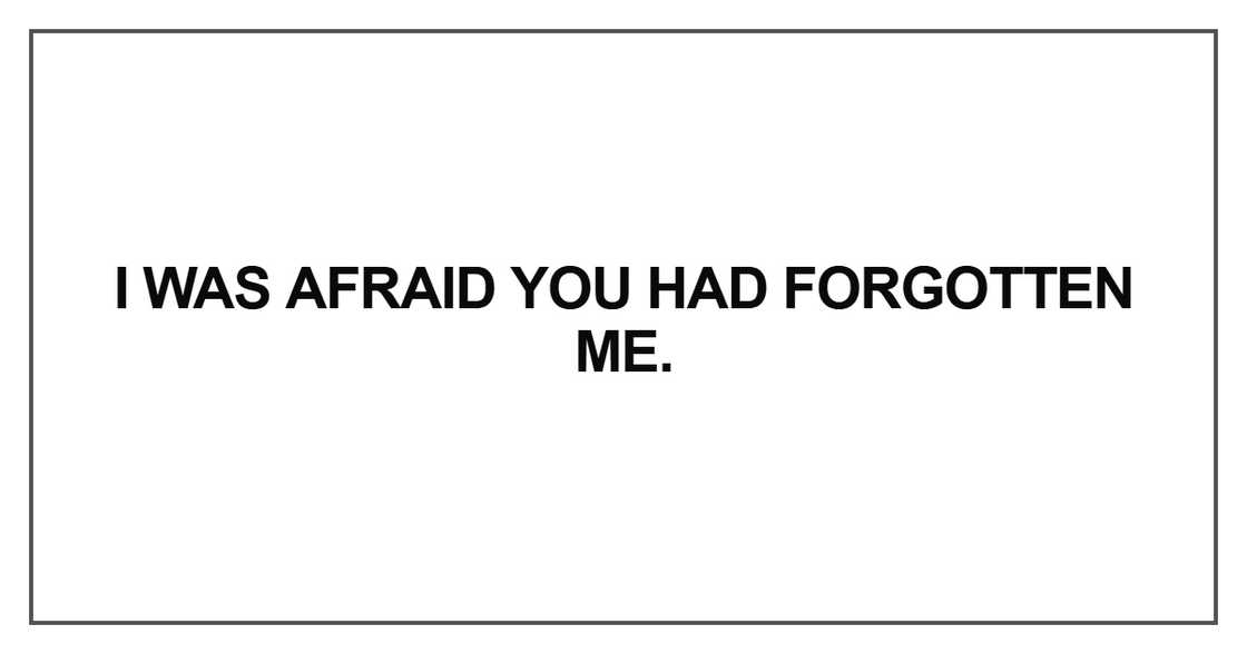 I was afraid you had forgotten