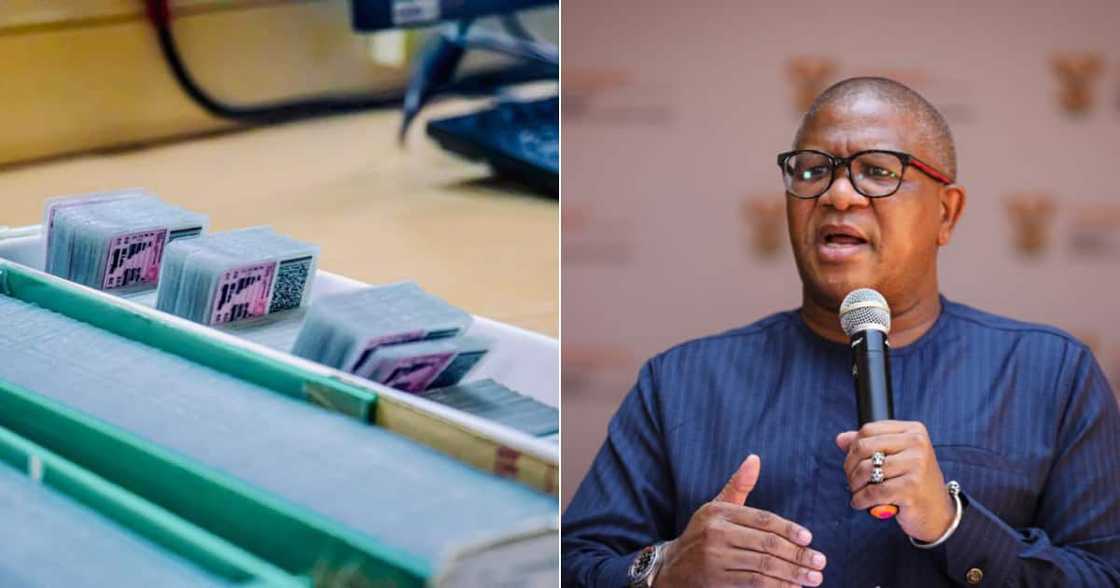 Transport Minister, Fikile Mbalula, Driver's license card, Printing machine, Breakdown, Backlog, Dysfunctional Transport Minister, Fikile Mbalula, Driver's license card, Printing machine, Breakdown, Backlog, Dysfunctional