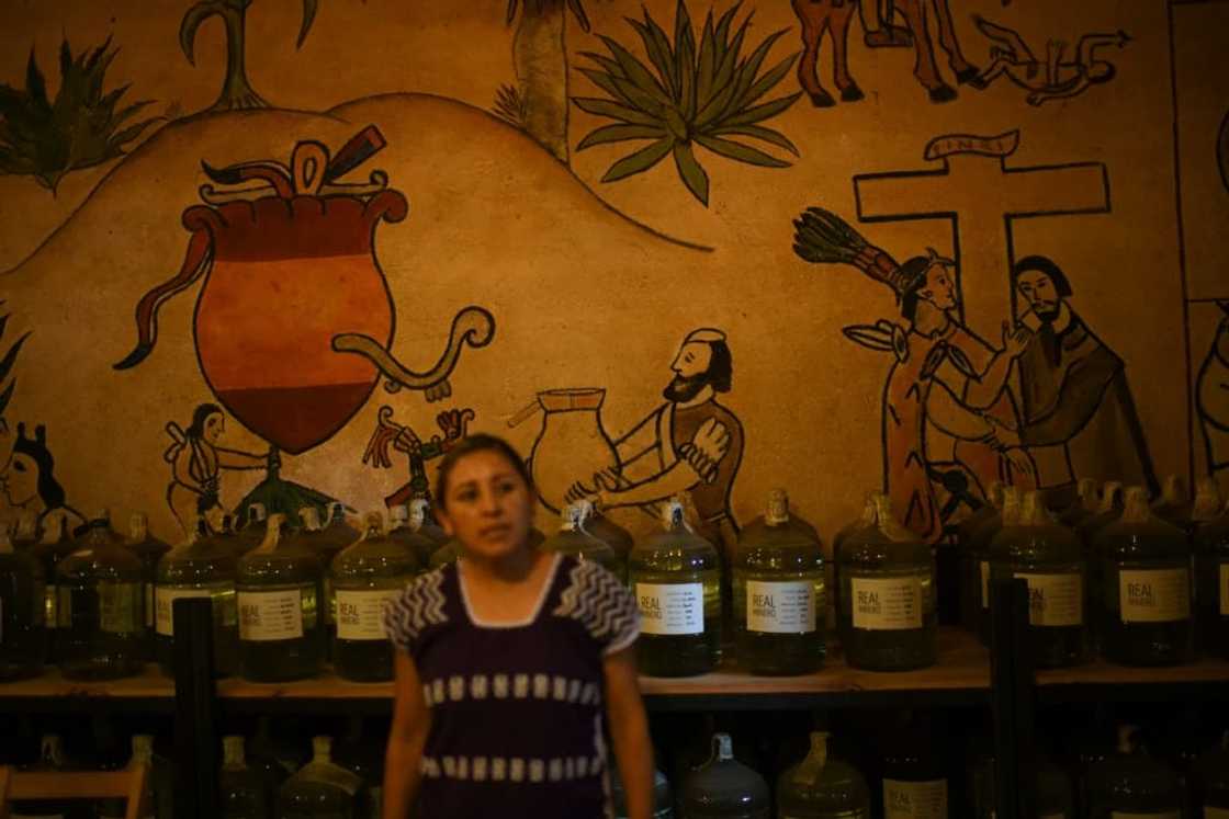 "Without magueys there's no mezcal," says distiller Graciela Angeles "Without magueys there's no mezcal," says distiller Graciela Angeles