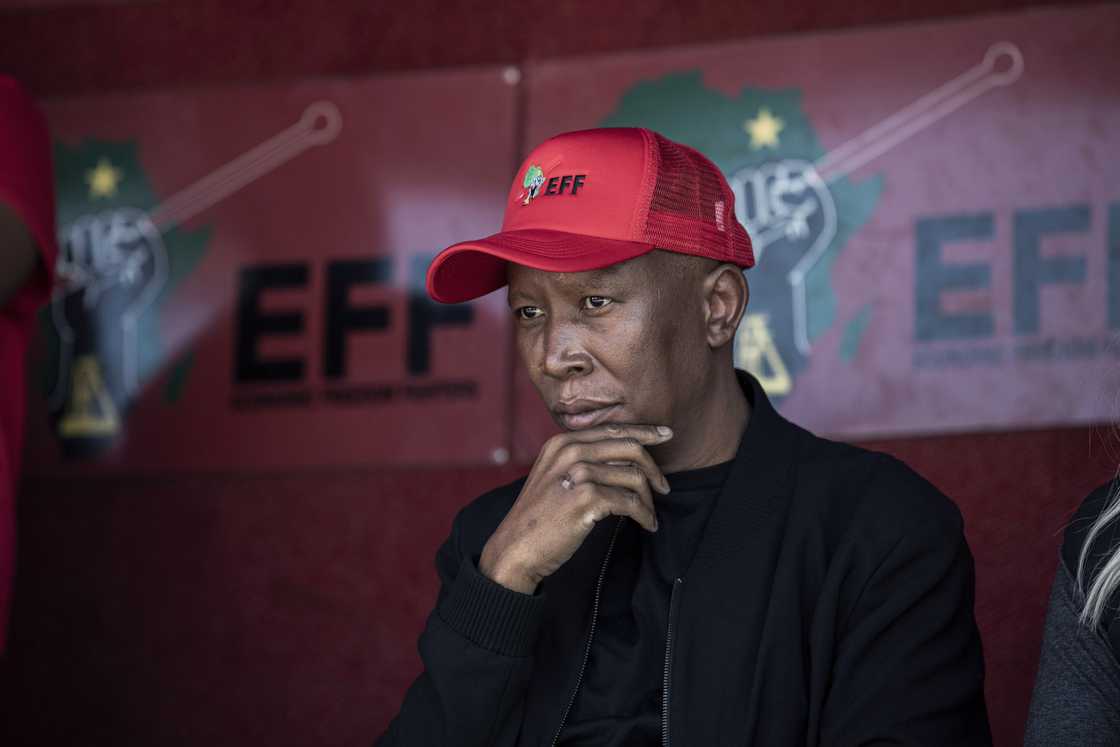 Julius Malema grilled Brown Mogotsi