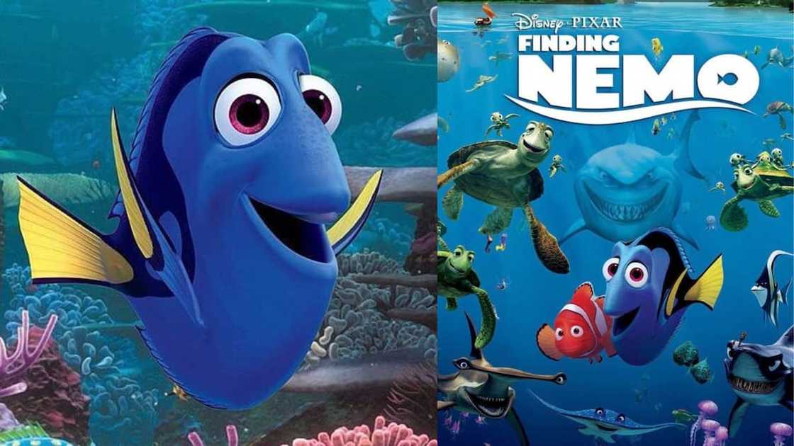 Nemo from Disney Pixar's Finding Nemo Nemo from Disney Pixar's Finding Nemo