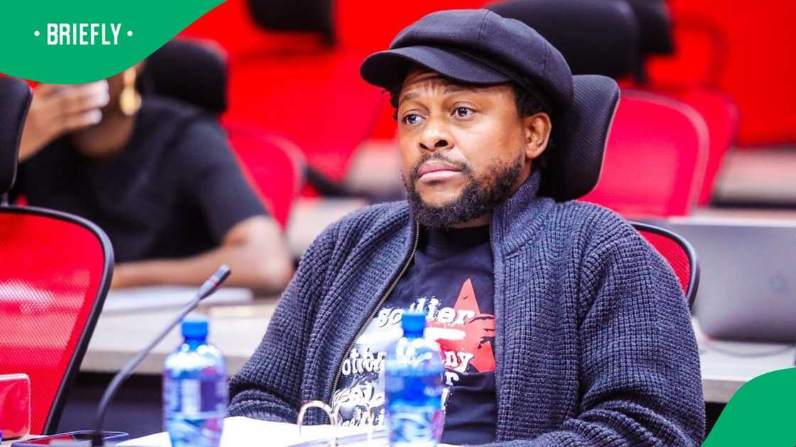 An X user lists reasons why Mbuyiseni Ndlozi must resign