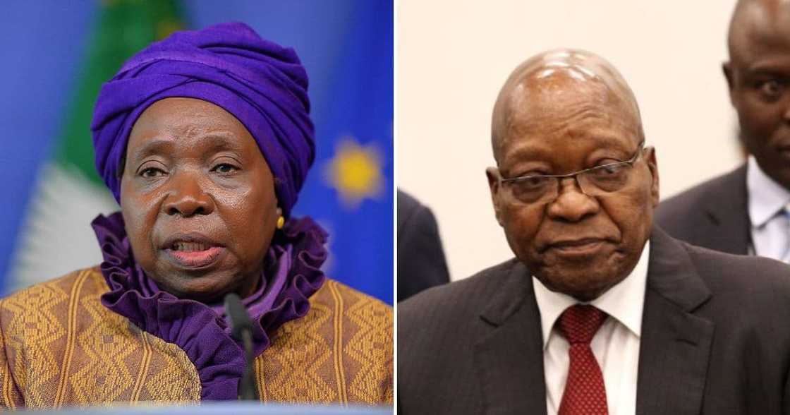 Nkosazana Dlamini-Zuma & former president Jacob Zuma Nkosazana Dlamini-Zuma & former president Jacob Zuma