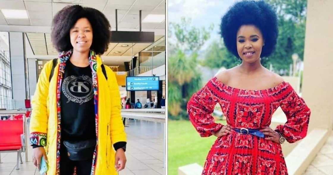 Zahara Zahara