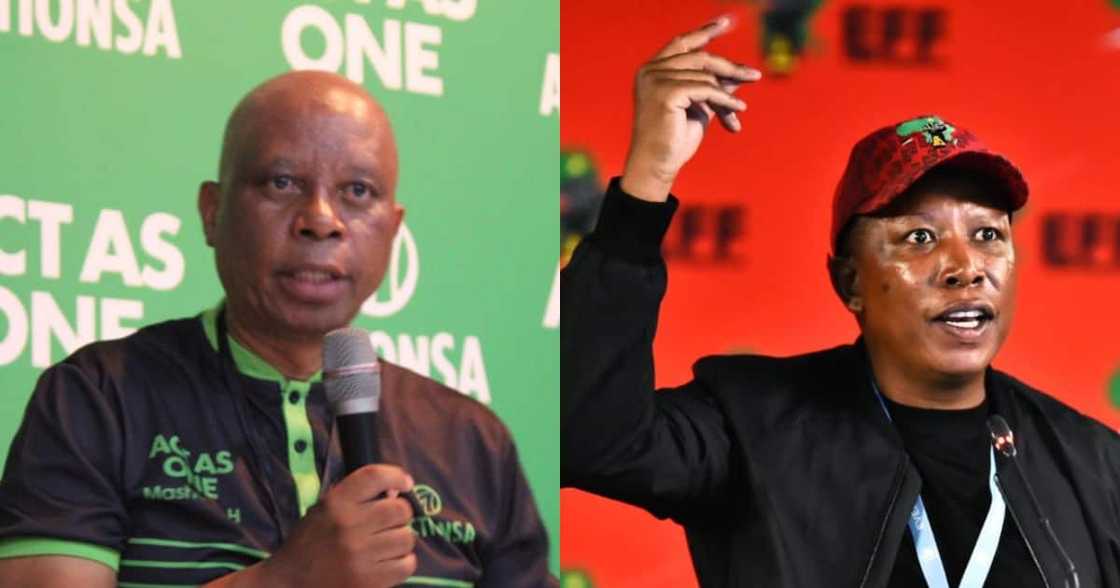 ActionSA, EFF, ANC, DA ActionSA, EFF, ANC, DA