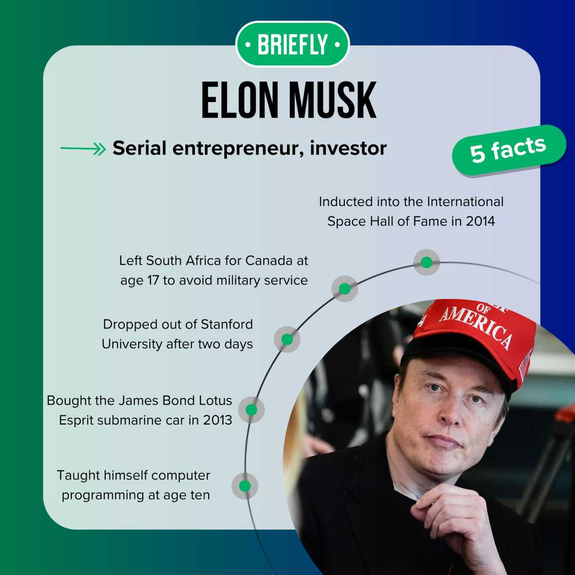 Elon Musk's facts