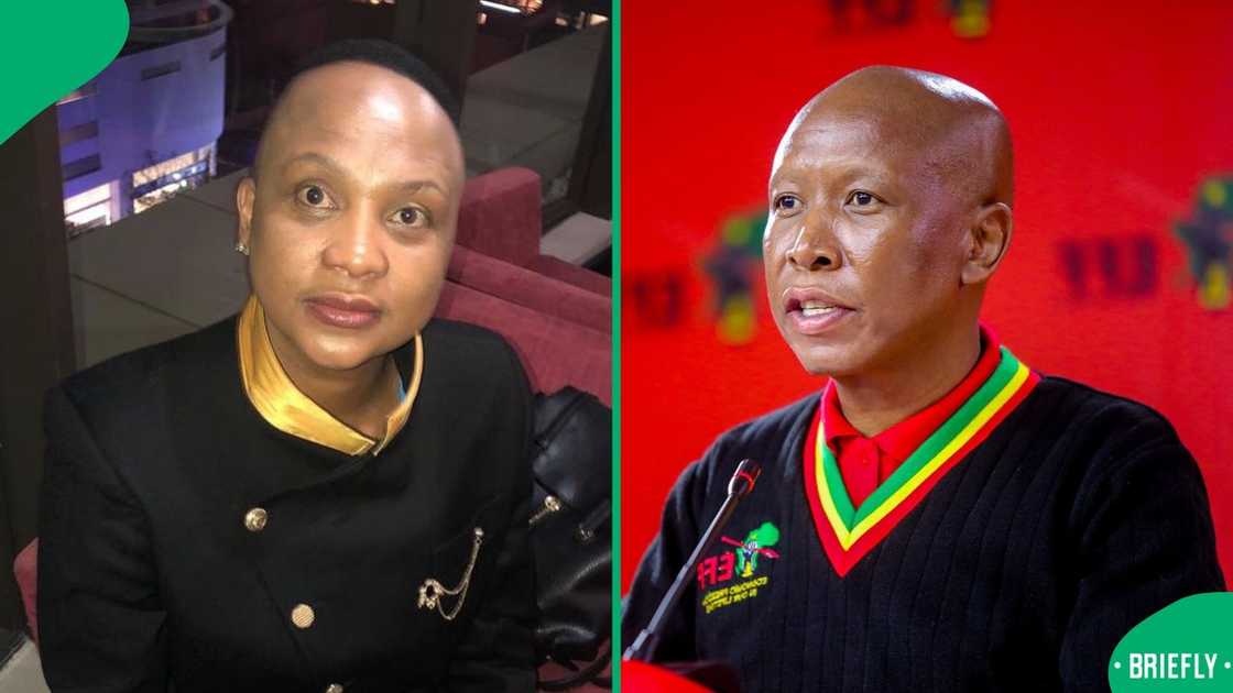 Lebo Keswa fired shots at Julius Malema