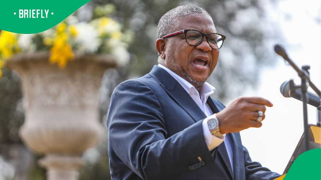 Fikile Mbalula was warned the ANC about losing power in KZN and Gauteng