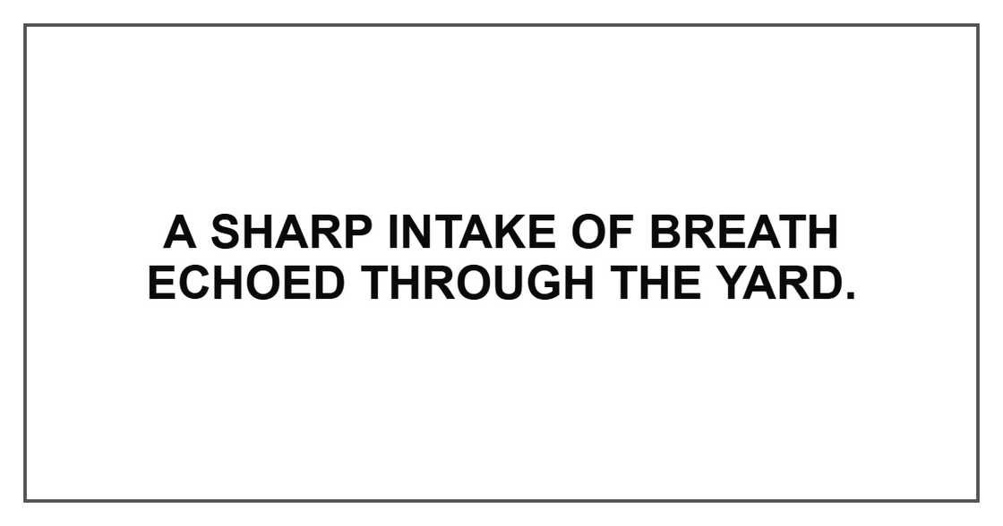 A sharp intake of breath echoed through the yard. A sharp intake of breath echoed through the yard.
