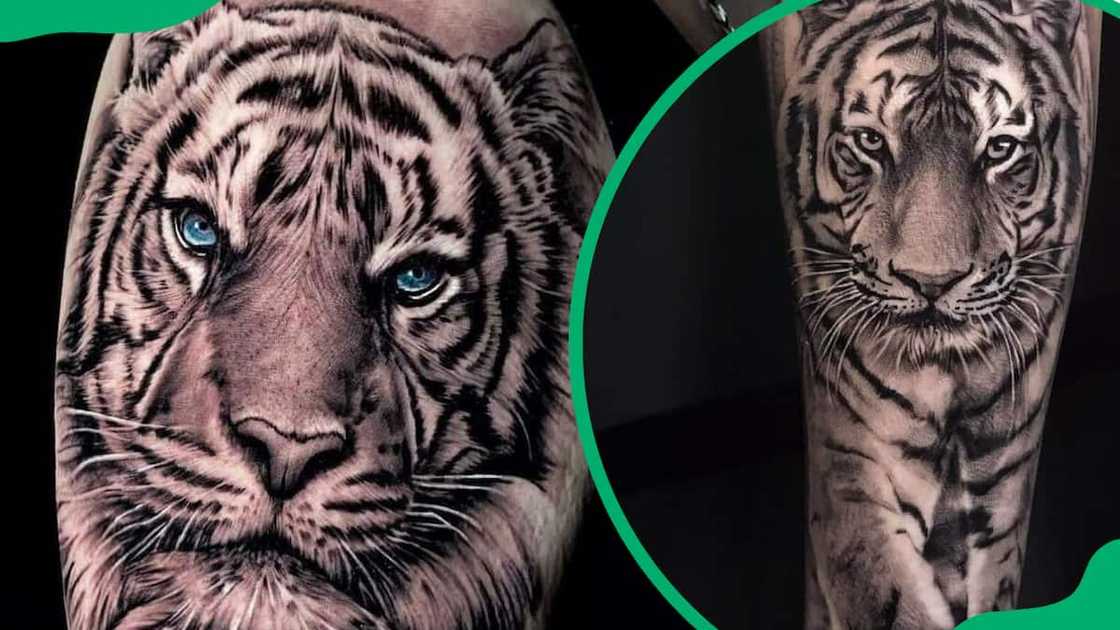 Bengal tiger tattoo design Bengal tiger tattoo design