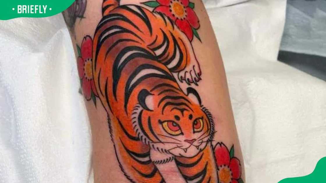 Japanese traditional tiger tattoo design Japanese traditional tiger tattoo design