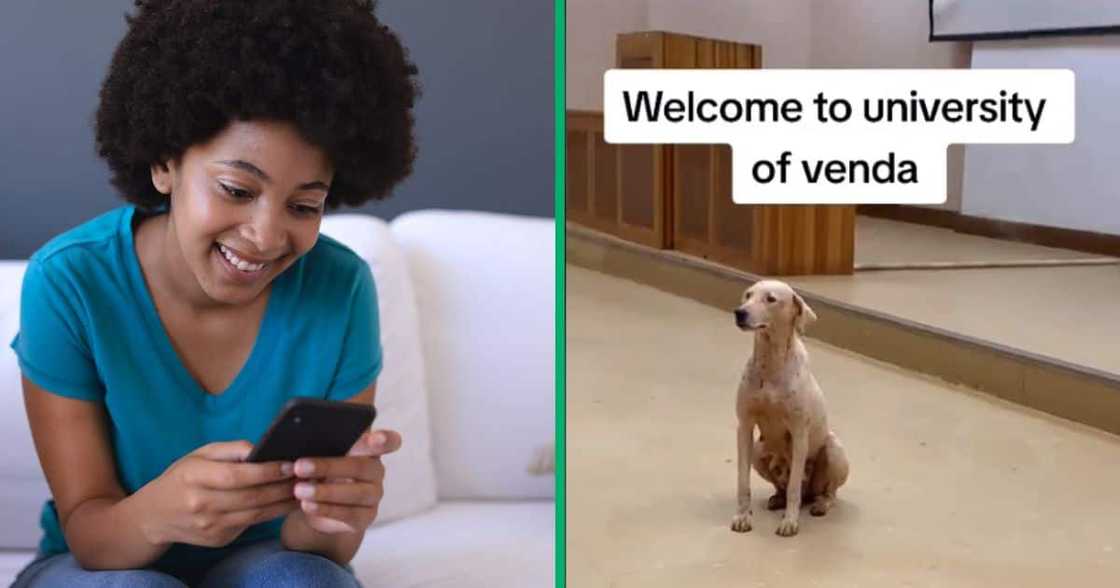 Dogs at University of Venda Dogs at University of Venda