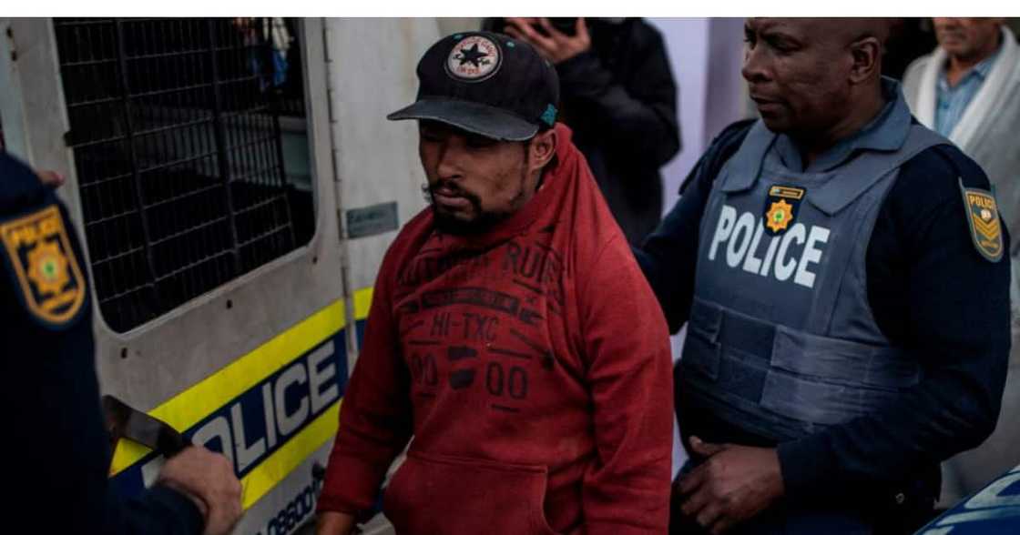 Mzansi, Social media, Crocodile, Police, Raid, Johannesburg, Tip off, Spokesperson, Mavela Masondo, Roodepoort Mzansi, Social media, Crocodile, Police, Raid, Johannesburg, Tip off, Spokesperson, Mavela Masondo, Roodepoort