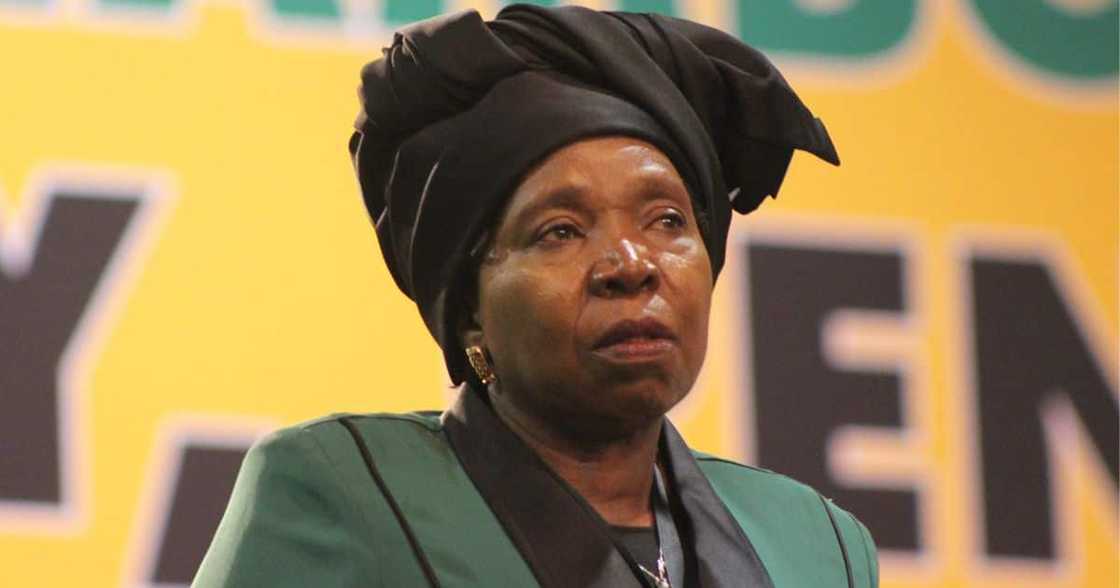 Nkosazana Dlamini-Zuma