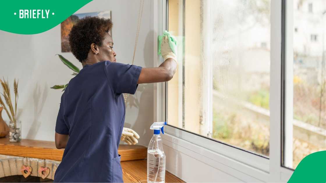 A stock photo of a woman cleaning an apartment A stock photo of a woman cleaning an apartment