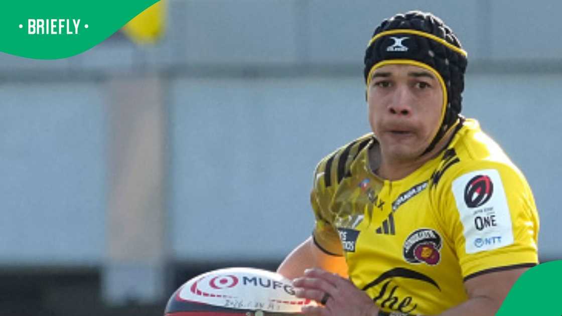 Cheslin Kolbe, Tokyo Sungoliath, Springboks, South Africa