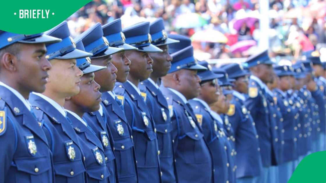saps officers saps officers