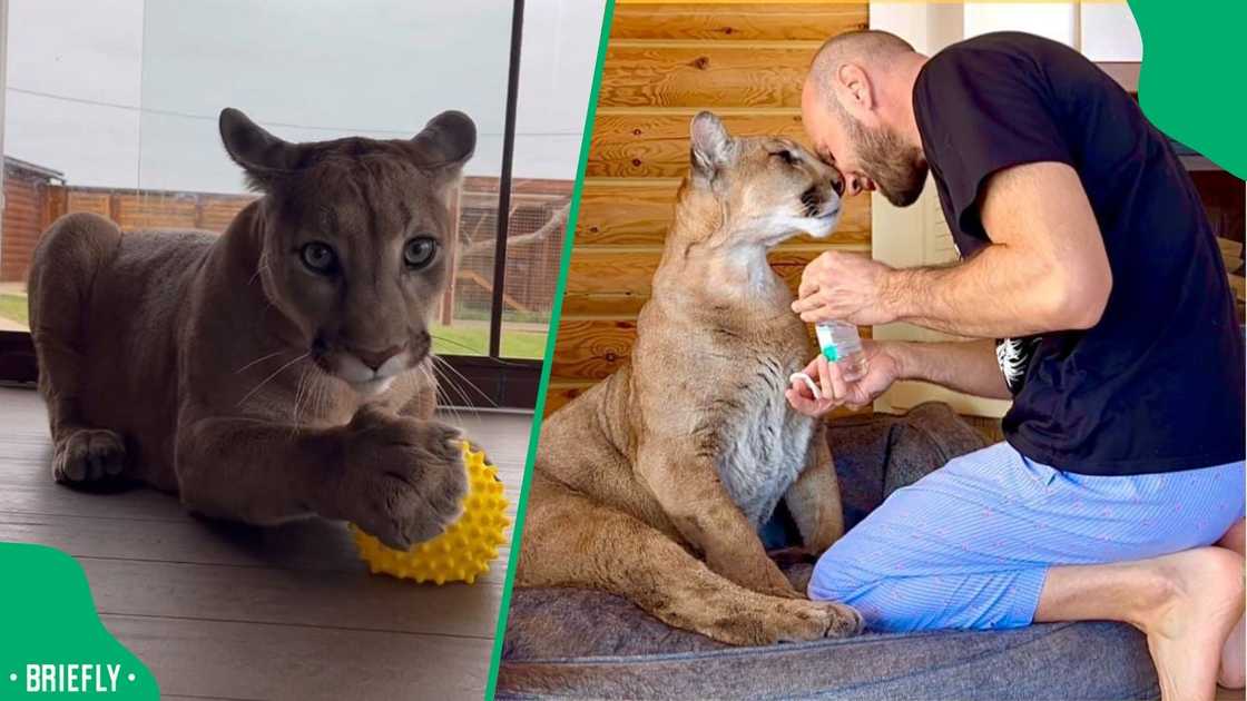 A post went viral. A post went viral.