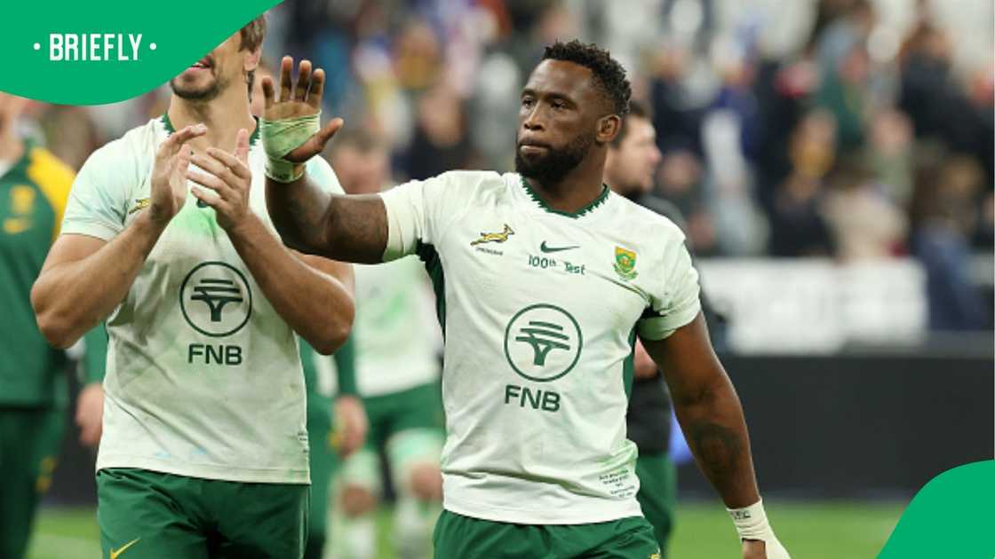 Springboks, South Africa, Siya Kolisi, Eben Etzebeth