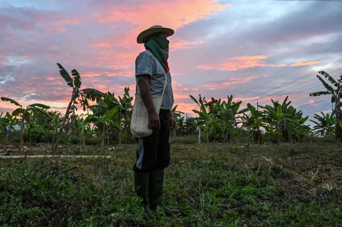 A Nasa indigenous man is pictured at an occupied property in Corinto, department of Cauca, Colombia