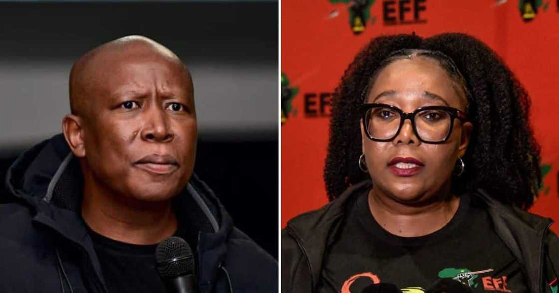 EFF wants the US ambassador to SA removed EFF wants the US ambassador to SA removed