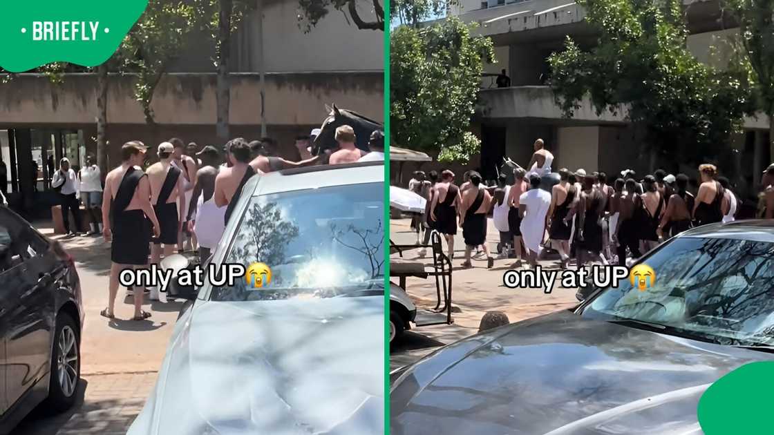 Tuks students pushing a fake horse on campus.