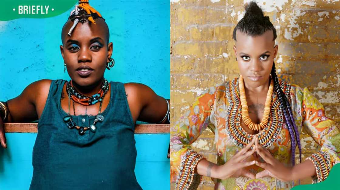 Toya Delazy's biography Toya Delazy's biography