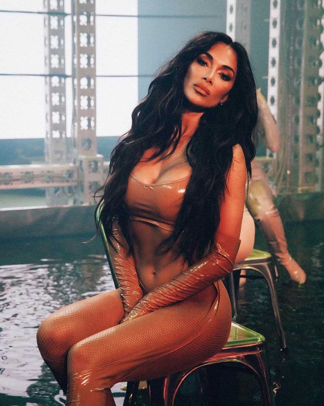 Nicole Scherzinger bio Nicole Scherzinger bio