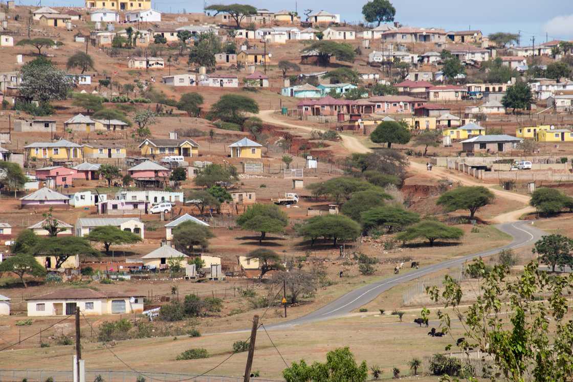 Rural housing in Umlazi township in South Africa Rural housing in Umlazi township in South Africa