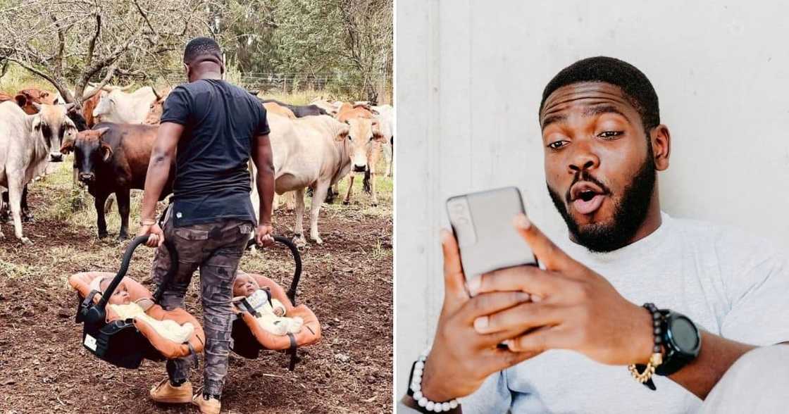 African, DNA Test, Newborn Twins, Cows African, DNA Test, Newborn Twins, Cows