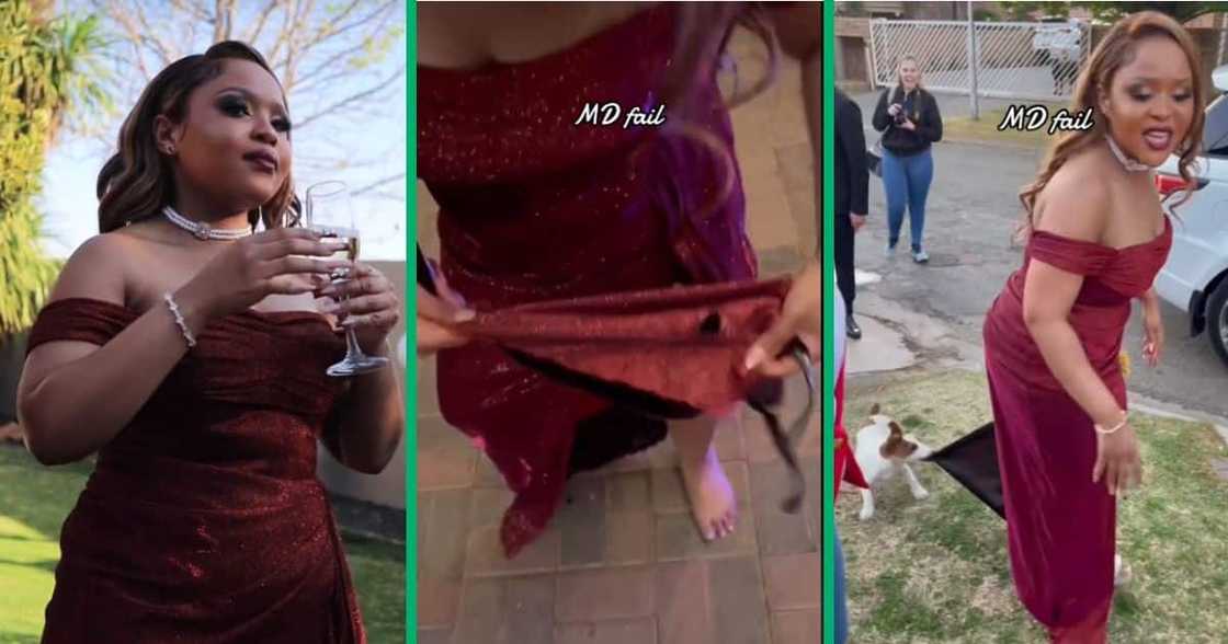 dog bites woman's dress dog bites woman's dress