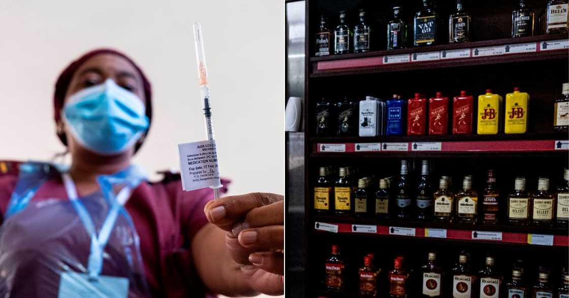 Covid-19, Vaccine, Alcohol, City of Tshwane Mayor, Randall Williams, Coronavirus Covid-19, Vaccine, Alcohol, City of Tshwane Mayor, Randall Williams, Coronavirus