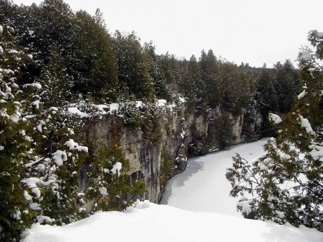 Elora Quarry pictures