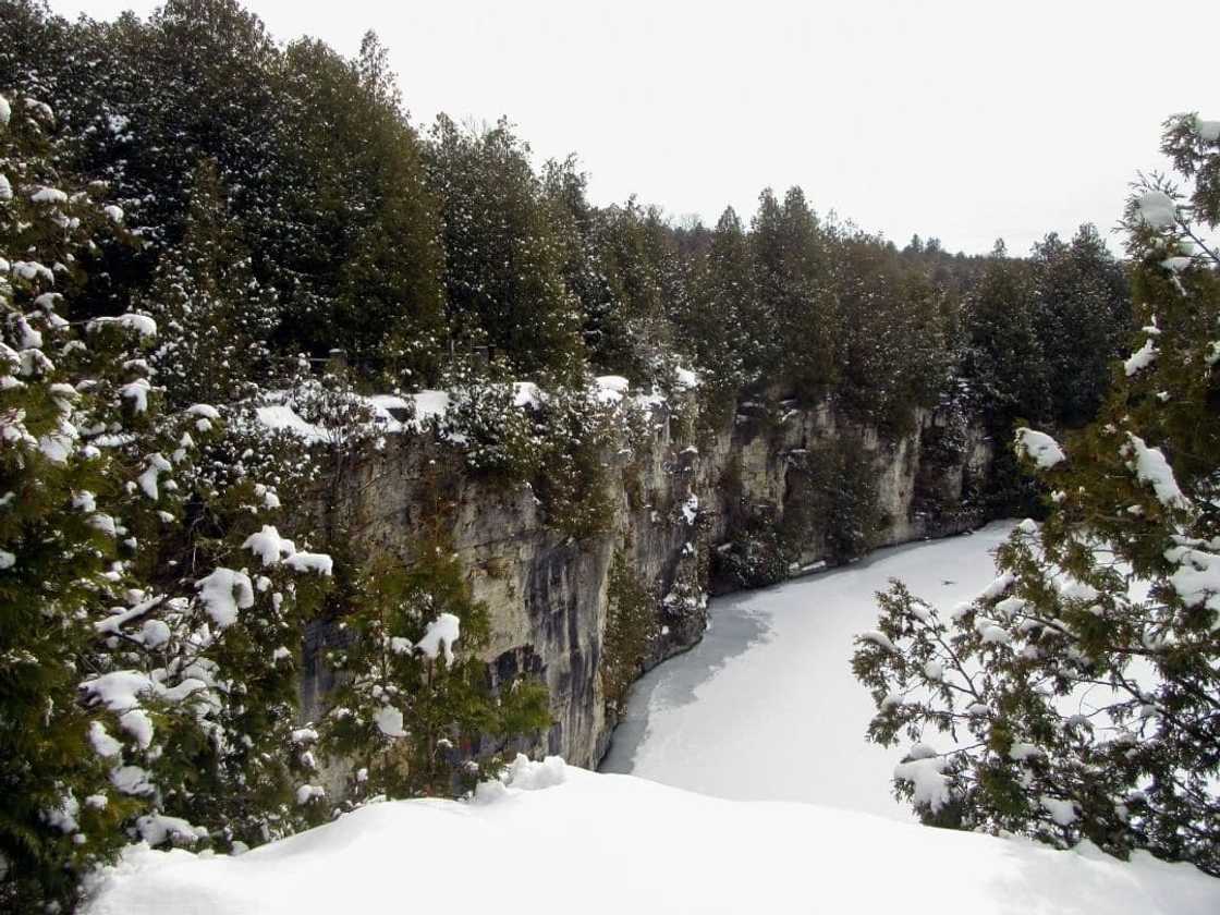 Elora Quarry pictures Elora Quarry pictures