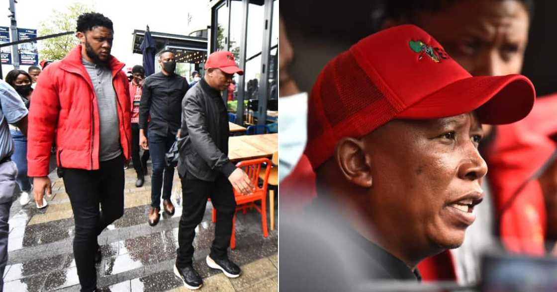 EFF leader, Julius Malema, visits restaurants, check how many South Africans have been hired, "hire locals EFF leader, Julius Malema, visits restaurants, check how many South Africans have been hired, "hire locals