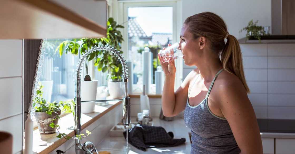 Typhoid fever, Western Cape, North West, Gauteng, outbreak, clusters, contaminated tap water, fact check, false statements Typhoid fever, Western Cape, North West, Gauteng, outbreak, clusters, contaminated tap water, fact check, false statements